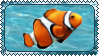 clownfish